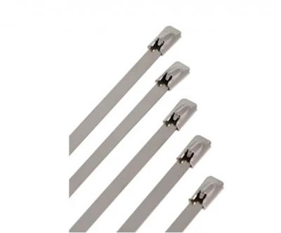 Brida acero inox
