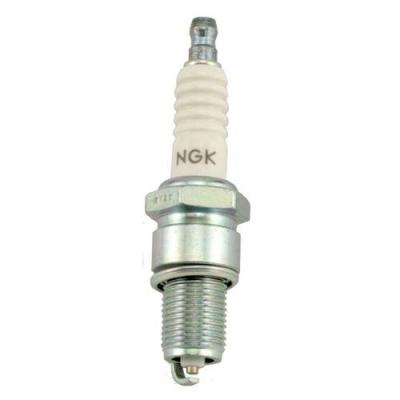 Bujia NGK 14mm