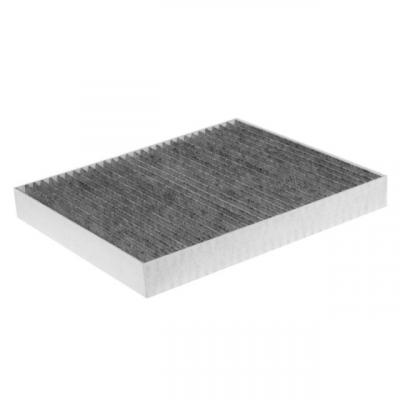 Filtro carbono OEM