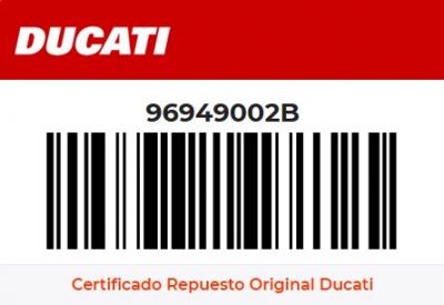 Guardabarros trasero carbono 96949002B Ducati Moto 2002 2008