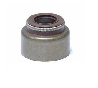 Reten valvula VITON 6L