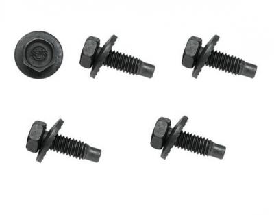 Set tornillos bisagra-capo