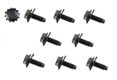 Set tornillos bisagra