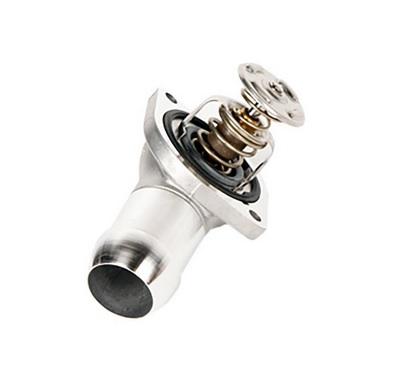 Termostato + tapa OEM